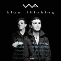 blue thinkung cover 2